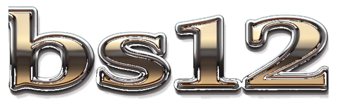 bs12 logo